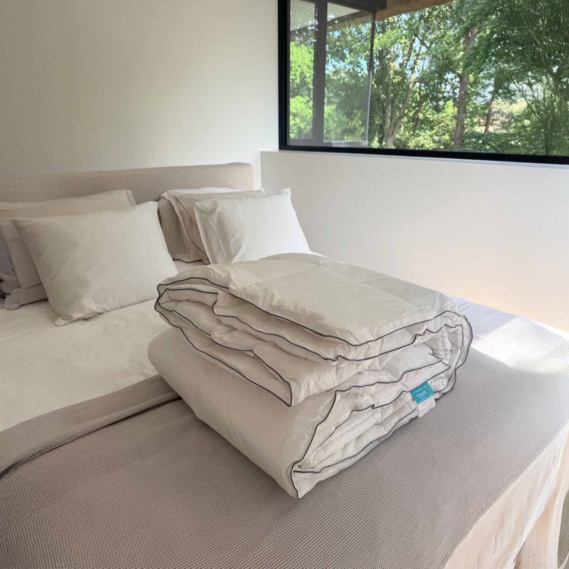 Neatly made bed with a duvet and pillows in a room with a window showing greenery outside.