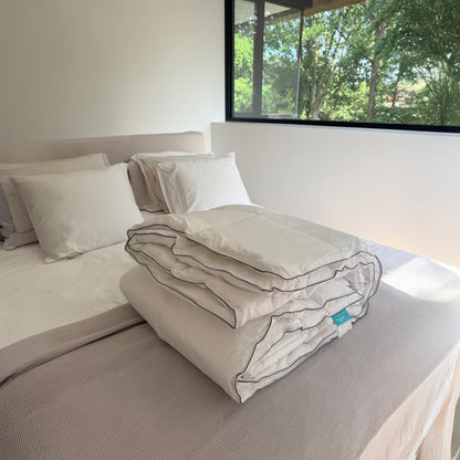 Neatly made bed with a duvet and pillows in a room with a window showing greenery outside.