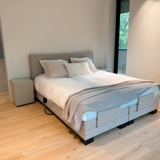 Larssen Electric Boxspring