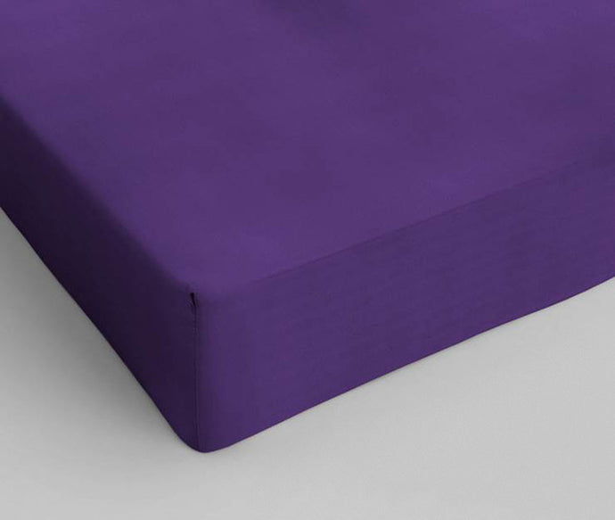 Cotton fitted sheet Purple