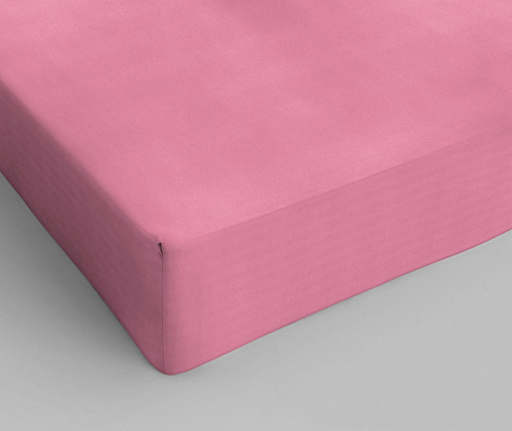 Cotton fitted sheet Rose